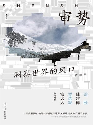 cover image of 审势：洞察世界的风口